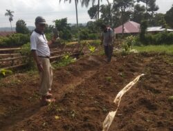 Tanaman Subur Petani Makmur, Biaya Irit Hasil Maksimal, Itulah Mamfaat Memakai Eco Farming