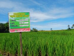 Solusi Yang Tepat Bagi Petani Kembali Kepada Pupuk Organik Eco Farming