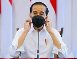 Presiden RI Minta Pimpinan Daerah Pertajam PPKM Mikro