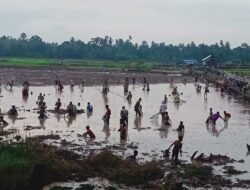 Marawang Kearifan Lokal Masih Terjaga Di Desa Teberau Panjang