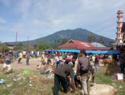 Pelaksanaan Qurban di Masjid Nurul Ikhlas Nan IX Sistem Kebersamaan