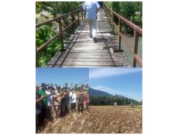 Jalan Pertanian Ke Sawah Baruah Padang Data Pagaruyung Sangat Dibutuhkan