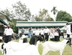 Wakil Gubernur Sumatera Barat mengunjungi Agro Wisata PT. Boncah Utama