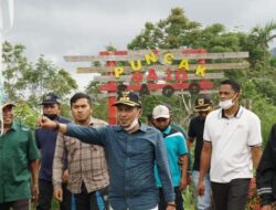 Bupati Tanah Datar  Kunjungi Puncak Sago Tanjung Bonai