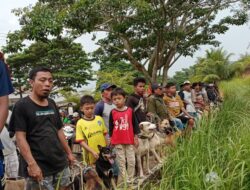 Pencandu Buru Babi Sangat Puas Diarena Perburuan Pagaruyung Saruaso