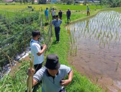 Jalan Tembus Pincuran Batuah ke Koto Tuo Bakal Dibuka