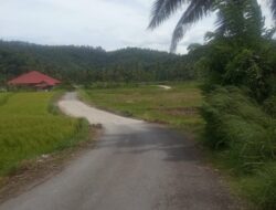 Jalan Nan II Suku Menuju Kandang Melabung Butuh Pengaspalan