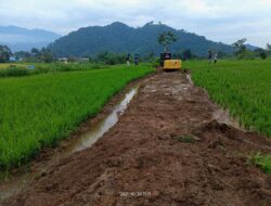 Buka Jalan Baru Dari Pincuran Batuah – Koto Tuo Salimpaung Sukses