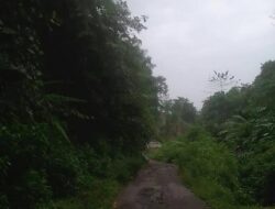 Kondisi Jalan Kabupaten Salimpaung – Koto Baru Sungai Tarab Rusak