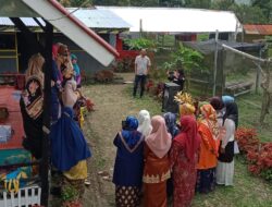 Merawat Tradisi, Bundo Kanduang Nagari Gunuang Laksanakan Pelatihan “Manyerakan Bareh Kunyik”