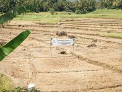 Bupati Tanah Datar Melaunching Program Lumbung Pangan Baznas