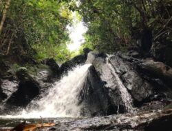 Objek Wisata Pualin Park Petai Singingi Menjadi Tujuan Destinasi Wisata Warga