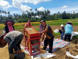 Pimred Metrosumatranews.com Lakukan Panen Perdana Pemakaian Pupuk Organik Super Eco Farming