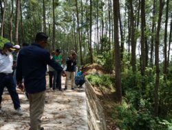 Bupati Tanah Datar Tinjau Pembangunan Ruas Jalan Simpang Kapalo jua Bukit Gombak Menuju TPA dan Ladang Laweh