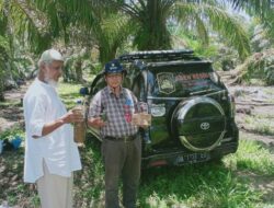 Kebun Sawit Yanto Pasaman Barat Kini Mamfaatkan Pupuk Cair ECO Farming