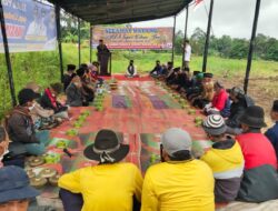 Even Alek Nagari Pacu Jawi di Sawah Siadaulu Jorong Mandaliko Nagari Labuah