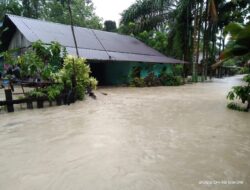 Luapan Banjir Bandang di Kuantan Singingi Rendam Desa Petapahan Gunung Toar