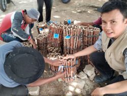 Desa Tanjung Simandolak Punya Program Unggulan Sebagai Penangkar Benih Bersertifikat