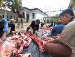 Aqzia Berqurban dengan Thema Qurban 1443 H ” Meneladani  KeIklasan Memupuk Kebersamaan”