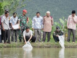 TEBAR 38.000 BENIH IKAN UNTUK POKDAKAN DI BALAI PANJANG, INI HARAPAN BUPATI SAFARUDDIN