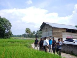 Mendengar Keluhan Petani, Wabup Turun Lapangan