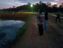 Terkait Adanya Ikan Mati di Aliran Sungai Batang Peranap Pucuk Rantau DLH Kuansing Sudah Verifikasi Ke Lapangan