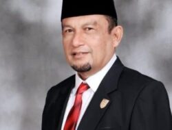 Pj. Wako Dilantik, Ini Kata Armen Faindal