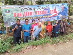 Kelompok Tani Maju Bersama Terima Benih Bibit Kopi Arabica