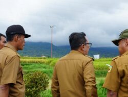 Bupati Tanah Datar Monitoring ke Lereng Gunung Terkait Marapi Erupsi