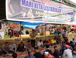 Alek Pacu Jawi di Jorong Koto Hiling Dihadiri Wabup Tanah Datar