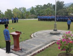 Apel Bersama Awal Tahun 2023, Bupati Safaruddin Serahkan 362 SK PNS Formasi 2019