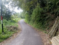 Jaringan Listrik Dari Lawang Menuju Mandahiling Telah Bersandar Bambu
