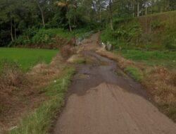 Jalan Taliagung Menuju SMA I Sungayang 2023 Ini Akan Direhab