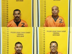 Polsek LTD Amankan 4 Pelaku Pencurian Di Areal PT.RAPP Desa Rambahan Kecamatan Logas Tanah Darat Kuansing