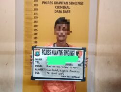 Tim Narkoba Polres Kuansing Tangkap Pengedar Seperempat Kilo Ganja