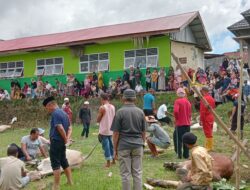 31 Ekor Sapi dan 4 Ekor Kambing Kurban di Masjid Nurul Ikhlas Nan IX