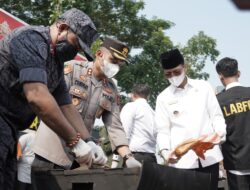 Musnahkan 54,1 Kg Barang Bukti Ganja, Bupati Safaruddin Apresiasi Kinerja Polres Limapuluh Kota