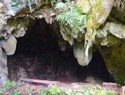 Gua Lida Ajer Kembali Dilelang, Masyarakat Situjuah Minta Pemerintah Turun Tangan