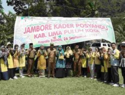 Dinkes Gelar Jambore Kader Posyandu Perdana Di Lima Puluh Kota