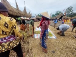Festival Baluluak Bajarami 2 Diresmikan Dengan Mengawali Goreng Kerupuk Jangek