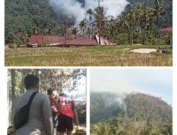 Tiga Titik Api di Lintau Buo Utara, Forkompimca Langsung Meninjau ke TKP