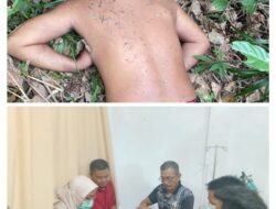Penemuan Mayat di Perkebunan Sawit Desa Lubuk Ambacang, Polsek Hulu Kuantan Bertindak Cepat