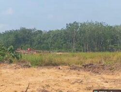 Rakit Peti Beroperasi Bebas Setiap Hari Dapat Perlindungan Oknum Tertentu Di Kasang Limau Sundai