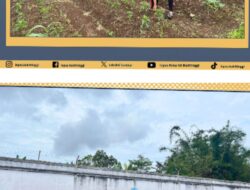 WBP Lapas Bukittinggi Rawat Perkebunan: Bukti Nyata Pembinaan Produktif dan Berdampak!