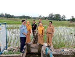 Kelompok Tani Arai Pinang Dikunjungi Dinas Pertanian dan Tanaman Pangan Kabupaten Kuansing