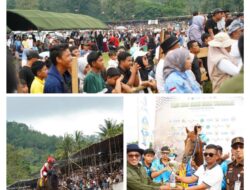 Ditutup, Wirabraja Pacu Kuda Open Race dan Tradisional 2026 Berjalan Sukses