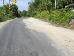 Perjuangan Bupati Berbuah Manis, Ruas Jalan Provinsi Teluk Kuantan–Cerenti Mulai Diperbaiki