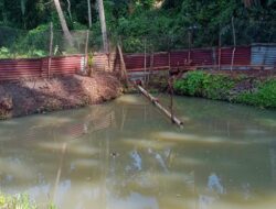 Bumnag Tunas Muda Sijangek Jadi Percontohan Pengelolaan Ikan Air Tawar Pada Kolom Masyarakat Setempat