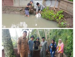 Wali Nagari Simpuruik Sungai Tarab Telah Melepaskan Ikan Nila 30.000.000 Ekor di 18 Kolom Percontohan Milik Masyarakat