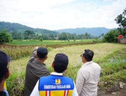Kesiapan Lahan Sekolah Rakyat Ditinjau BPJN Sumbar di Tanah Datar